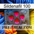 Sildenafil 100 13